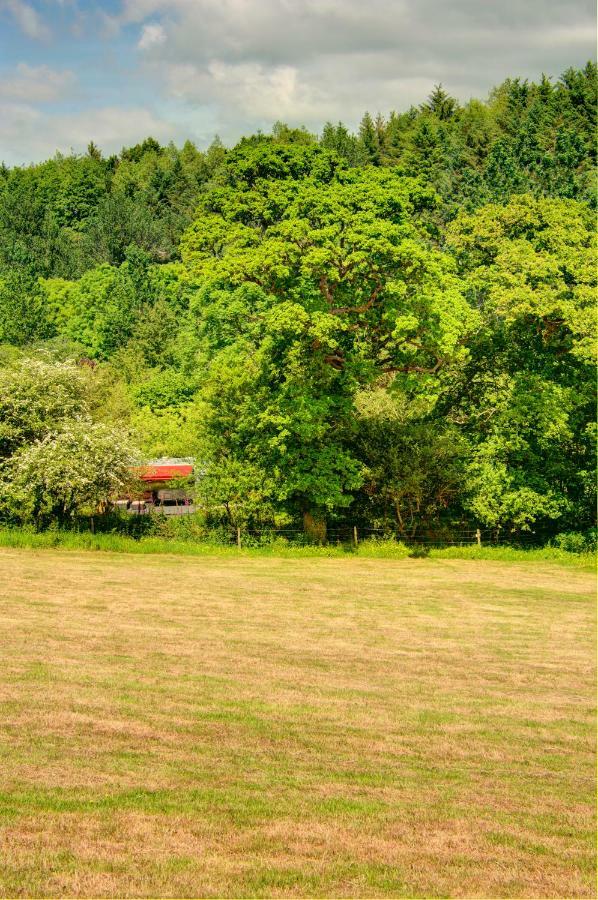 The Airstream Villa Penryn Buitenkant foto